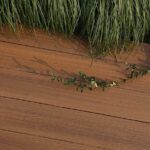 Exclusive Natural Collection